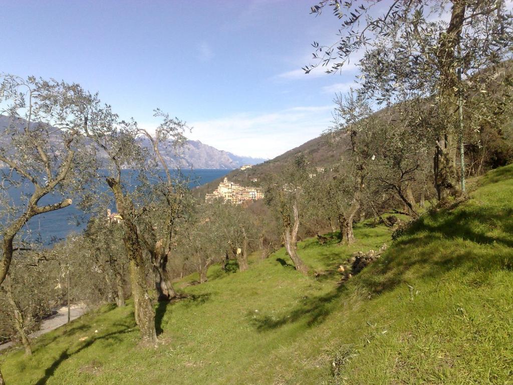 Romantic Dream Torri Del Benaco Exterior photo